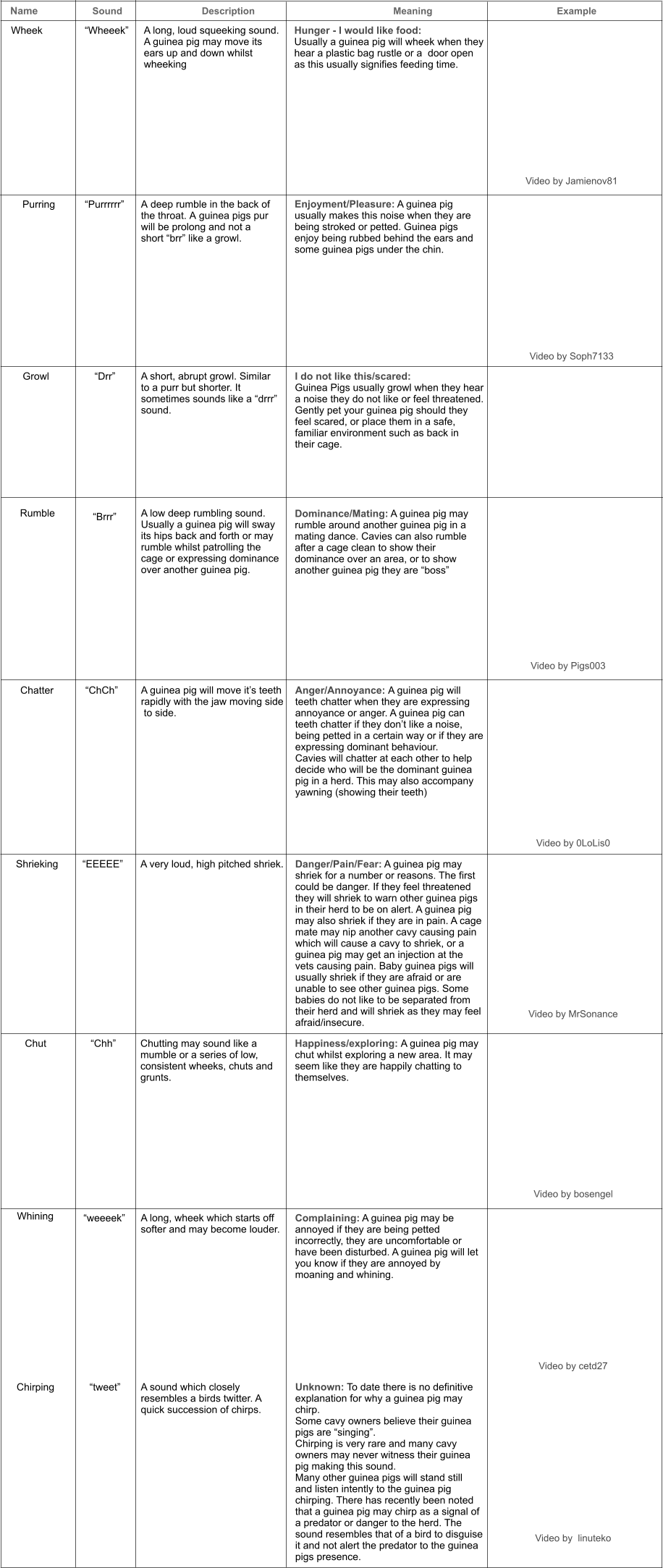 Name	        	Sound	             	Description		           			Meaning 				          Example Wheek	  	 “Wheeek” A long, loud squeeking sound.  A guinea pig may move its  ears up and down whilst  wheeking Hunger - I would like food:  Usually a guinea pig will wheek when they hear a plastic bag rustle or a  door open  as this usually signifies feeding time.   Video by Jamienov81  Purring  “Purrrrrr” A deep rumble in the back of  the throat. A guinea pigs pur  will be prolong and not a  short “brr” like a growl.  Enjoyment/Pleasure: A guinea pig  usually makes this noise when they are  being stroked or petted. Guinea pigs  enjoy being rubbed behind the ears and  some guinea pigs under the chin.   Video by Soph7133   Growl “Drr” A short, abrupt growl. Similar  to a purr but shorter. It  sometimes sounds like a “drrr” sound.  I do not like this/scared:  Guinea Pigs usually growl when they hear  a noise they do not like or feel threatened.  Gently pet your guinea pig should they  feel scared, or place them in a safe,  familiar environment such as back in  their cage.    Rumble	 “Brrr” A low deep rumbling sound.  Usually a guinea pig will sway  its hips back and forth or may  rumble whilst patrolling the  cage or expressing dominance  over another guinea pig.  Dominance/Mating: A guinea pig may  rumble around another guinea pig in a  mating dance. Cavies can also rumble after a cage clean to show their  dominance over an area, or to show  another guinea pig they are “boss” Video by Pigs003 Chatter “ChCh” A guinea pig will move it’s teeth  rapidly with the jaw moving side  to side. Anger/Annoyance: A guinea pig will  teeth chatter when they are expressing  annoyance or anger. A guinea pig can  teeth chatter if they don’t like a noise,  being petted in a certain way or if they are  expressing dominant behaviour.  Cavies will chatter at each other to help  decide who will be the dominant guinea  pig in a herd. This may also accompany  yawning (showing their teeth)  Video by 0LoLis0  Shrieking “EEEEE” A very loud, high pitched shriek.  Danger/Pain/Fear: A guinea pig may  shriek for a number or reasons. The first  could be danger. If they feel threatened  they will shriek to warn other guinea pigs in their herd to be on alert. A guinea pig  may also shriek if they are in pain. A cage  mate may nip another cavy causing pain  which will cause a cavy to shriek, or a  guinea pig may get an injection at the  vets causing pain. Baby guinea pigs will  usually shriek if they are afraid or are  unable to see other guinea pigs. Some  babies do not like to be separated from  their herd and will shriek as they may feel  afraid/insecure.   Video by MrSonance  Chut	 “Chh” Chutting may sound like a  mumble or a series of low,  consistent wheeks, chuts and  grunts.    Happiness/exploring: A guinea pig may  chut whilst exploring a new area. It may  seem like they are happily chatting to  themselves.  Video by bosengel  Whining  “weeeek” A long, wheek which starts off  softer and may become louder.    Complaining: A guinea pig may be  annoyed if they are being petted  incorrectly, they are uncomfortable or  have been disturbed. A guinea pig will let  you know if they are annoyed by  moaning and whining.  Video by cetd27  Chirping  “tweet” A sound which closely  resembles a birds twitter. A  quick succession of chirps.  Unknown: To date there is no definitive  explanation for why a guinea pig may  chirp.  Some cavy owners believe their guinea  pigs are “singing”.  Chirping is very rare and many cavy  owners may never witness their guinea  pig making this sound.  Many other guinea pigs will stand still  and listen intently to the guinea pig  chirping. There has recently been noted  that a guinea pig may chirp as a signal of  a predator or danger to the herd. The  sound resembles that of a bird to disguise it and not alert the predator to the guinea  pigs presence.  Video by  linuteko