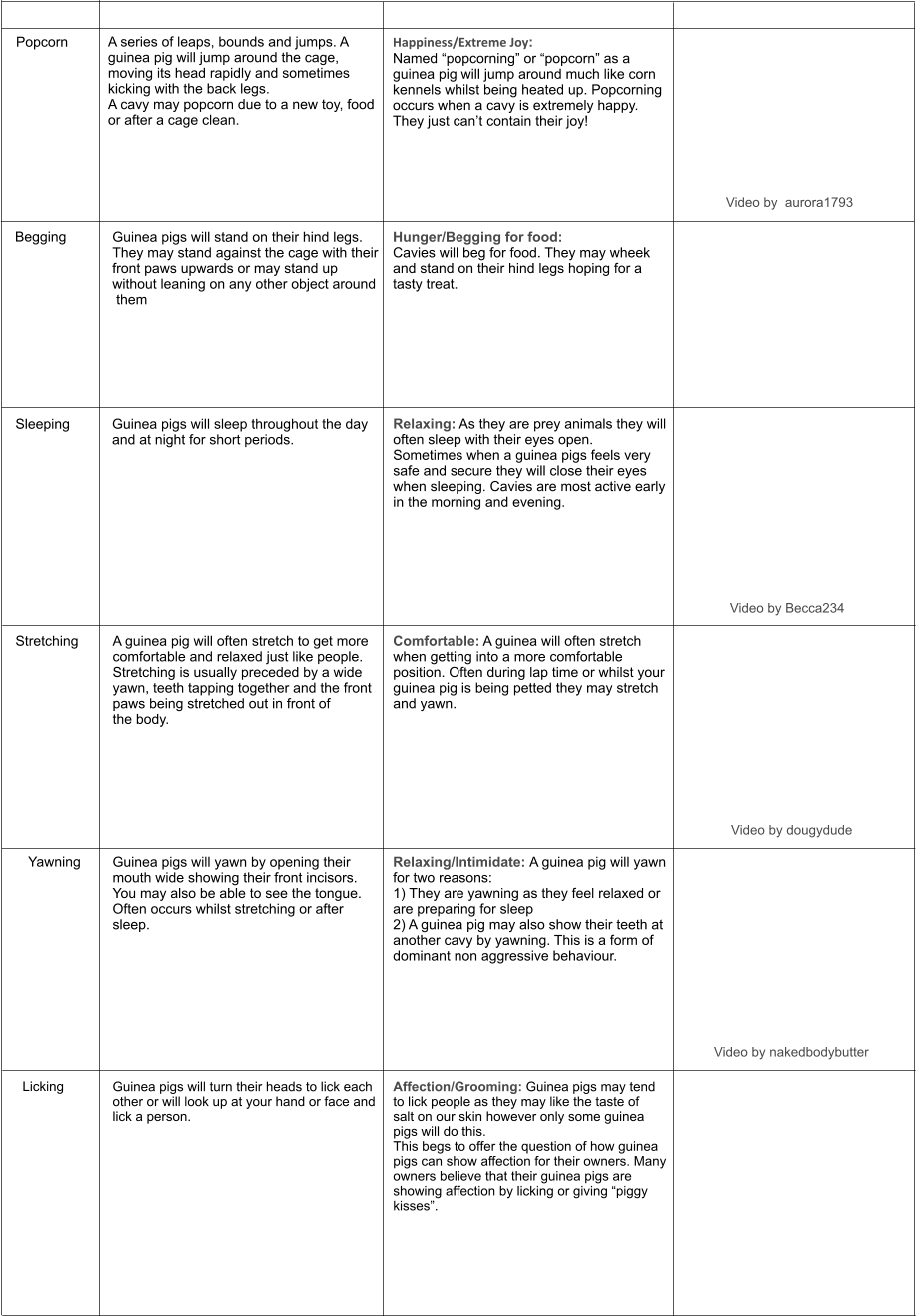 Popcorn	  	 	  	 A series of leaps, bounds and jumps. A  guinea pig will jump around the cage,  moving its head rapidly and sometimes  kicking with the back legs.  A cavy may popcorn due to a new toy, food  or after a cage clean.   Happiness/Extreme Joy:  Named “popcorning” or “popcorn” as a  guinea pig will jump around much like corn kennels whilst being heated up. Popcorning  occurs when a cavy is extremely happy.  They just can’t contain their joy!    Begging  Guinea pigs will stand on their hind legs.  They may stand against the cage with their front paws upwards or may stand up  without leaning on any other object around  them  Hunger/Begging for food:  Cavies will beg for food. They may wheek  and stand on their hind legs hoping for a  tasty treat.   Sleeping  Guinea pigs will sleep throughout the day  and at night for short periods.  Relaxing: As they are prey animals they will  often sleep with their eyes open.  Sometimes when a guinea pigs feels very  safe and secure they will close their eyes  when sleeping. Cavies are most active early  in the morning and evening.    Stretching	 A guinea pig will often stretch to get more  comfortable and relaxed just like people.  Stretching is usually preceded by a wide  yawn, teeth tapping together and the front  paws being stretched out in front of  the body.    Comfortable: A guinea will often stretch  when getting into a more comfortable  position. Often during lap time or whilst your  guinea pig is being petted they may stretch and yawn.    Video by  aurora1793              Video by Becca234  Video by dougydude Yawning  Guinea pigs will yawn by opening their  mouth wide showing their front incisors.  You may also be able to see the tongue.  Often occurs whilst stretching or after  sleep.  Relaxing/Intimidate: A guinea pig will yawn  for two reasons: 1) They are yawning as they feel relaxed or  are preparing for sleep 2) A guinea pig may also show their teeth at  another cavy by yawning. This is a form of dominant non aggressive behaviour.  Video by nakedbodybutter Licking Guinea pigs will turn their heads to lick each  other or will look up at your hand or face and  lick a person.  Affection/Grooming: Guinea pigs may tend  to lick people as they may like the taste of  salt on our skin however only some guinea  pigs will do this.  This begs to offer the question of how guinea  pigs can show affection for their owners. Many  owners believe that their guinea pigs are  showing affection by licking or giving “piggy  kisses”.