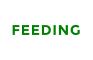 FEEDING