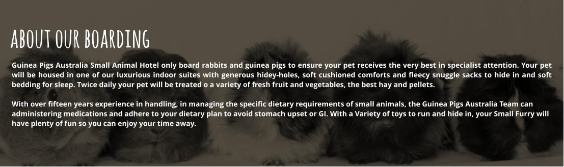 about our boarding   Guinea Pigs Australia Small Animal Hotel only board rabbits and guinea pigs to ensure your pet receives the very best in specialist attention. Your pet will be housed in one of our luxurious indoor suites with generous hidey-holes, soft cushioned comforts and fleecy snuggle sacks to hide in and soft bedding for sleep. Twice daily your pet will be treated o a variety of fresh fruit and vegetables, the best hay and pellets.   With over fifteen years experience in handling, in managing the specific dietary requirements of small animals, the Guinea Pigs Australia Team can  administering medications and adhere to your dietary plan to avoid stomach upset or GI. With a Variety of toys to run and hide in, your Small Furry will  have plenty of fun so you can enjoy your time away.