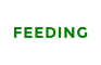 FEEDING