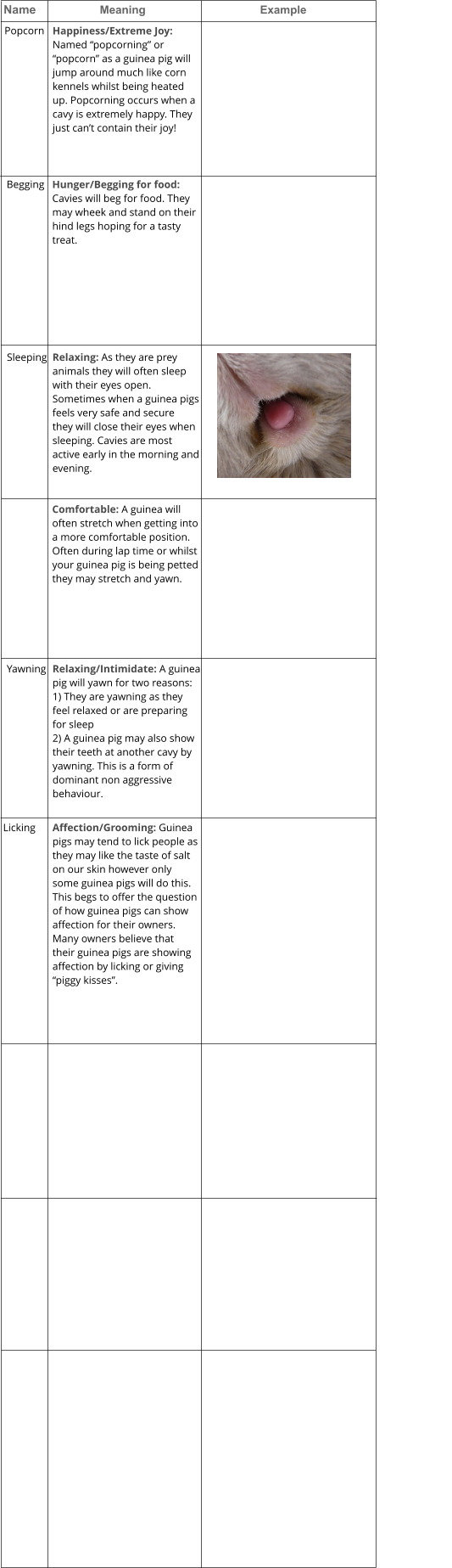 Name     		Meaning  				Example				           Popcorn 	 Happiness/Extreme Joy:  Named “popcorning” or  “popcorn” as a guinea pig will  jump around much like corn kennels whilst being heated  up. Popcorning occurs when a  cavy is extremely happy. They  just can’t contain their joy!    Begging  Hunger/Begging for food:  Cavies will beg for food. They  may wheek and stand on their  hind legs hoping for a tasty  treat.   Sleeping Relaxing: As they are prey  animals they will often sleep  with their eyes open.  Sometimes when a guinea pigs  feels very safe and secure  they will close their eyes when  sleeping. Cavies are most  active early in the morning and  evening.     Comfortable: A guinea will  often stretch when getting into  a more comfortable position.  Often during lap time or whilst  your guinea pig is being petted  they may stretch and yawn.  Yawning  Relaxing/Intimidate: A guinea  pig will yawn for two reasons: 1) They are yawning as they  feel relaxed or are preparing  for sleep 2) A guinea pig may also show  their teeth at another cavy by  yawning. This is a form of dominant non aggressive  behaviour.   Licking  Affection/Grooming: Guinea  pigs may tend to lick people as  they may like the taste of salt  on our skin however only  some guinea pigs will do this.  This begs to offer the question  of how guinea pigs can show  affection for their owners.  Many owners believe that  their guinea pigs are showing  affection by licking or giving  “piggy kisses”.