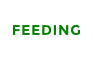 FEEDING