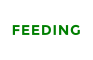 FEEDING